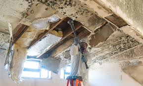 Best Asbestos and Lead Testing During Mold Inspection in USA